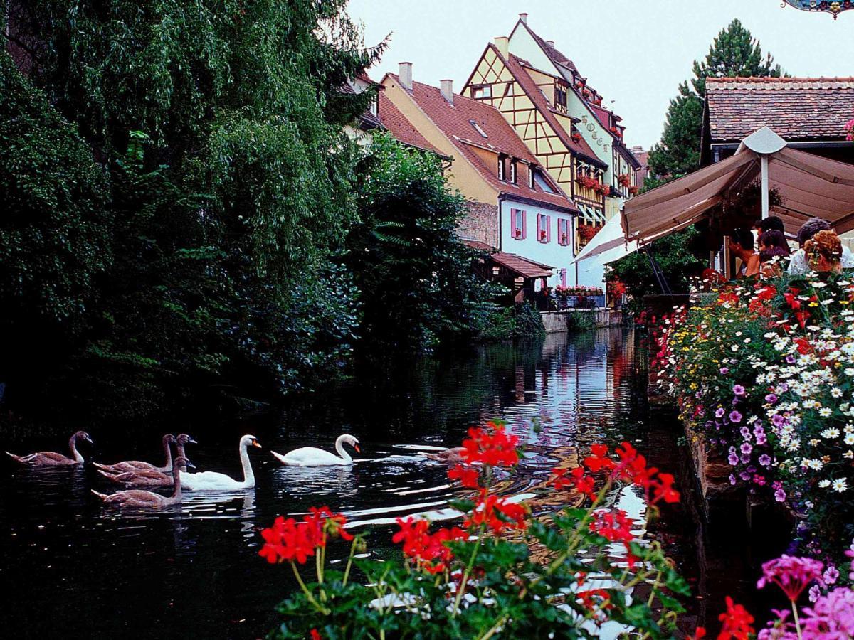 Hotel Ibis Colmar Centre Zewnętrze zdjęcie